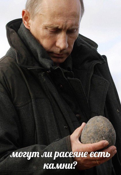 путин камень мем (8)