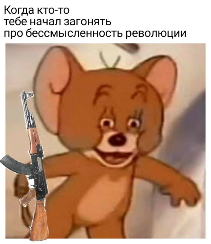 революция 5 ноября (1)