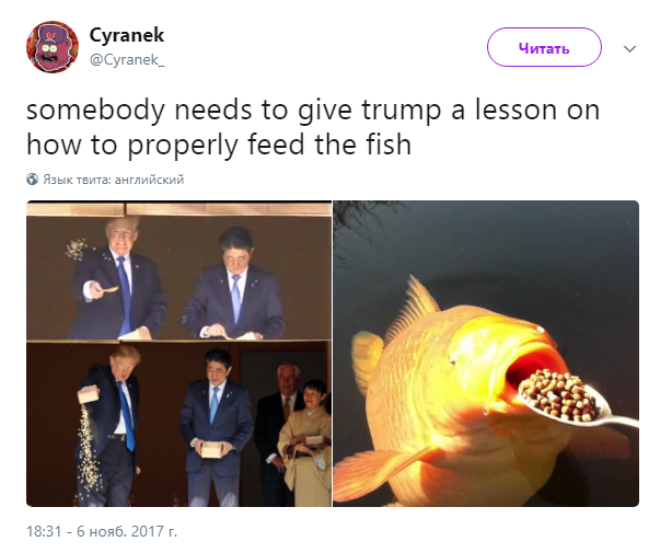 трамп и рыбки2