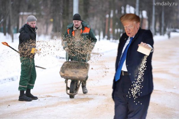 трамп кормит рыбок (9)