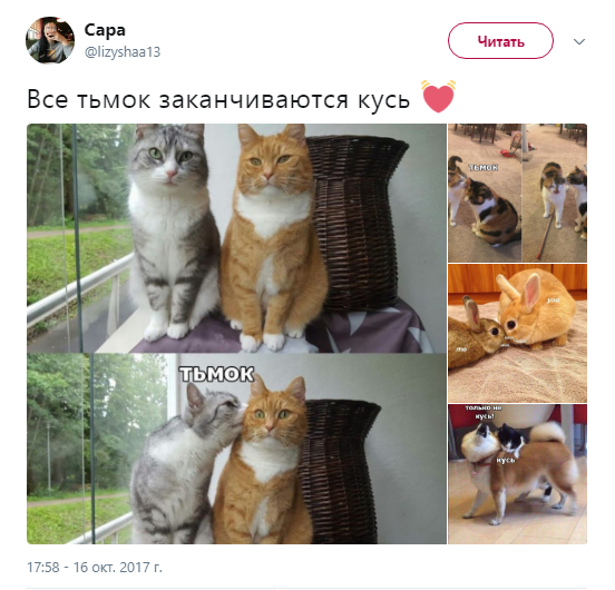 тьмок