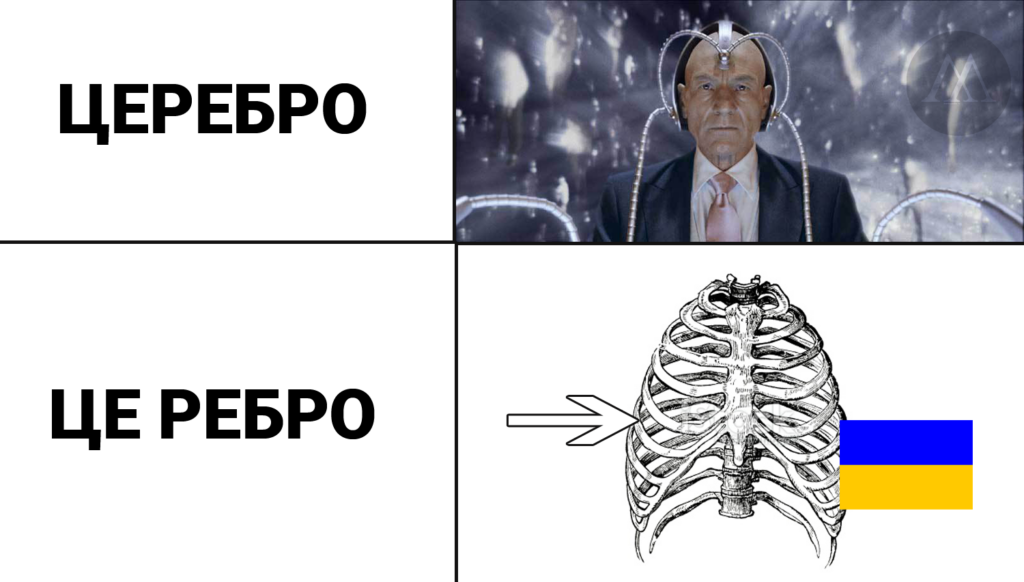 церебро
