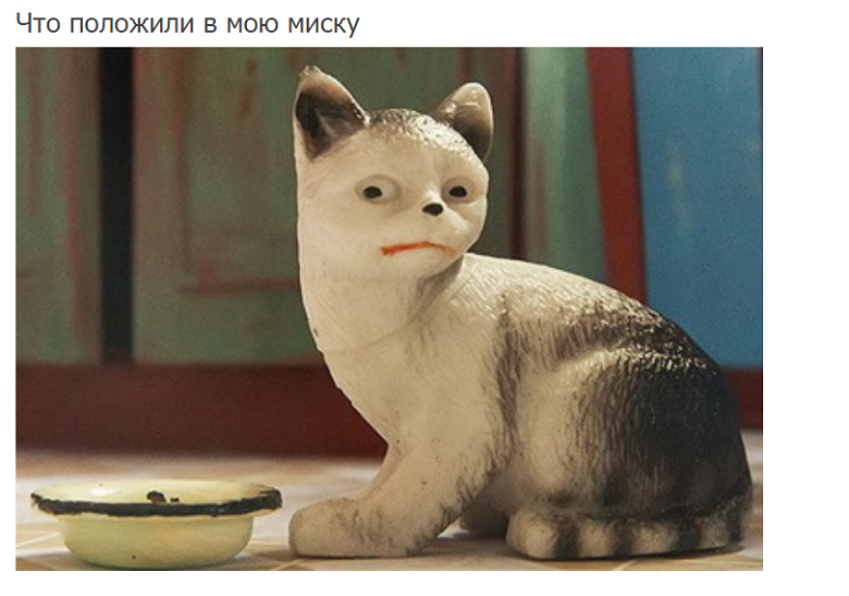 што в миске