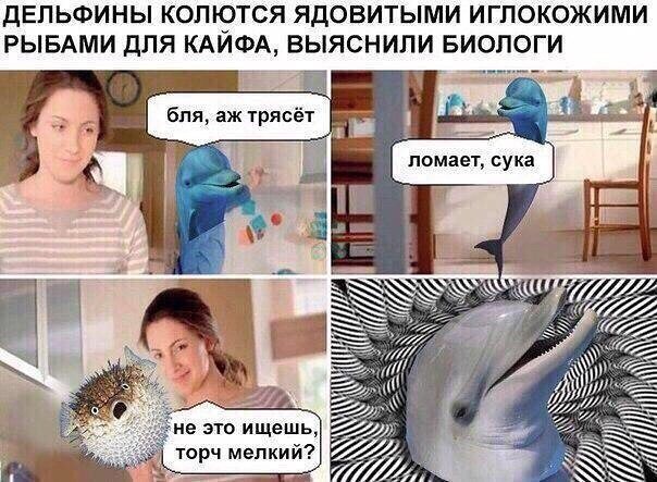 эй сыщик (3)