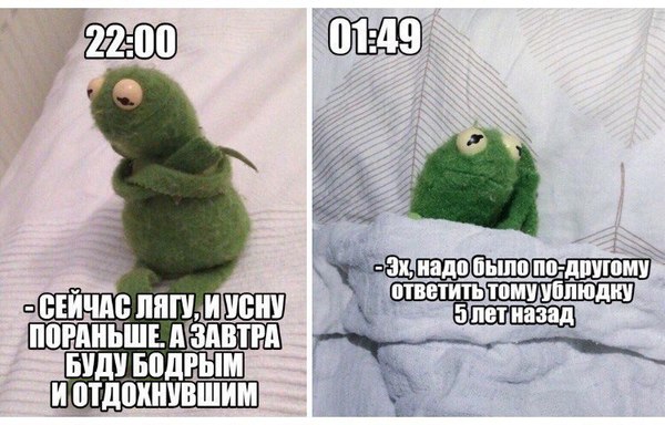 1480640233126411521