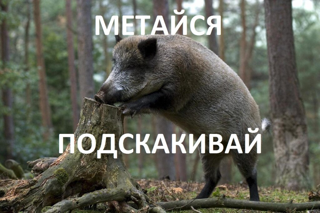 14888833826660