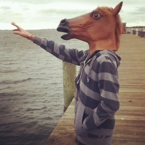 29238113.46e141jt66