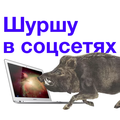 b37c9ab8e817887392e0b52f0a70b124