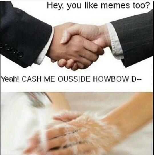 cash me ousside meme (4)