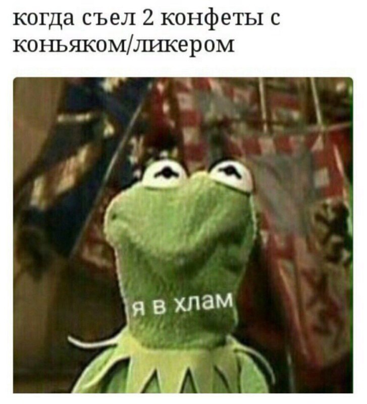 yMTo9GKj4io