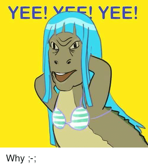 yee-yee-why-1620147