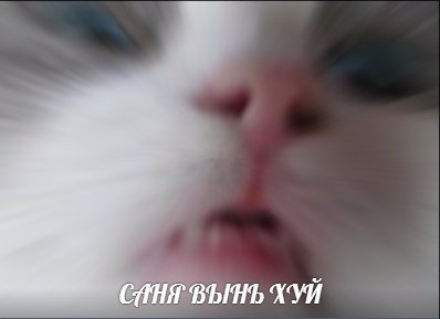 абстрактные мемы (6)