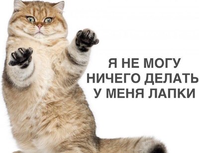 не-могу-ничего-делать-у-меня-лапки