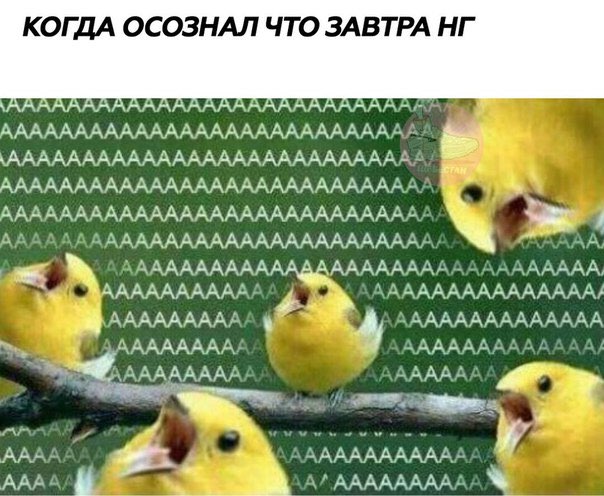 мем новый год