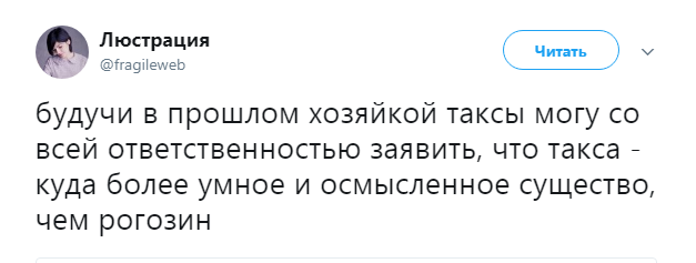 рогозин и такса2