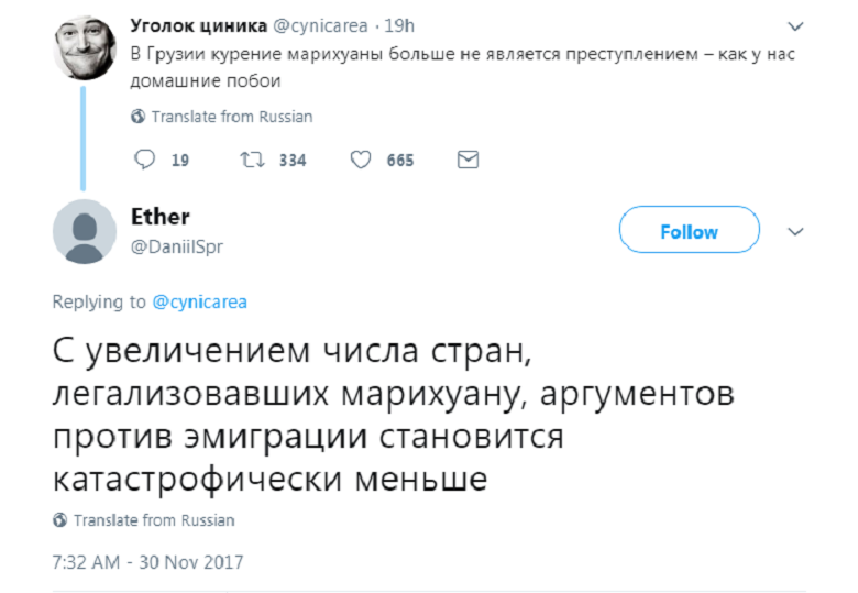 трава8