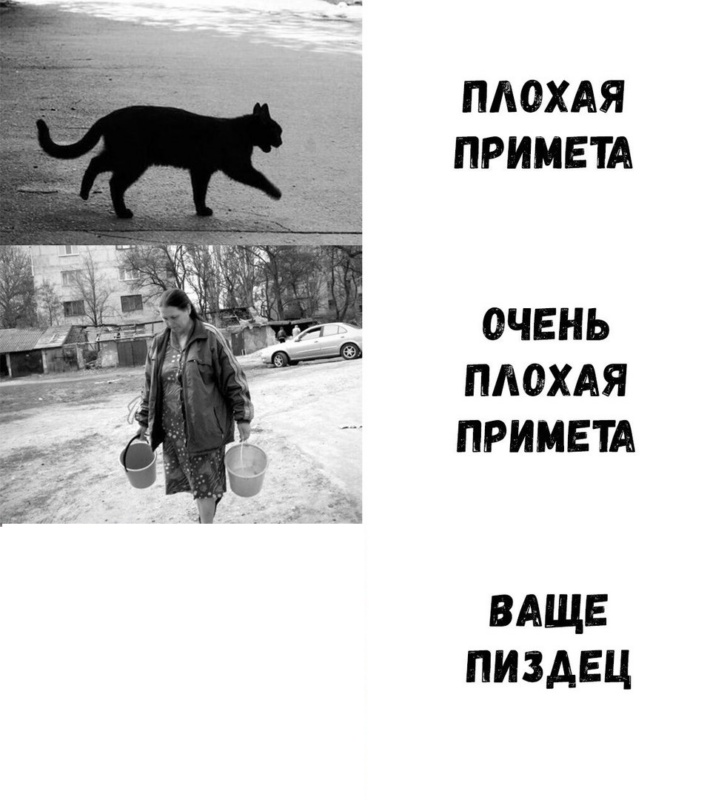 шаблон