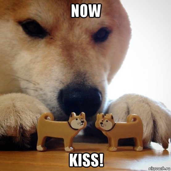 Now Kiss Now Kiss