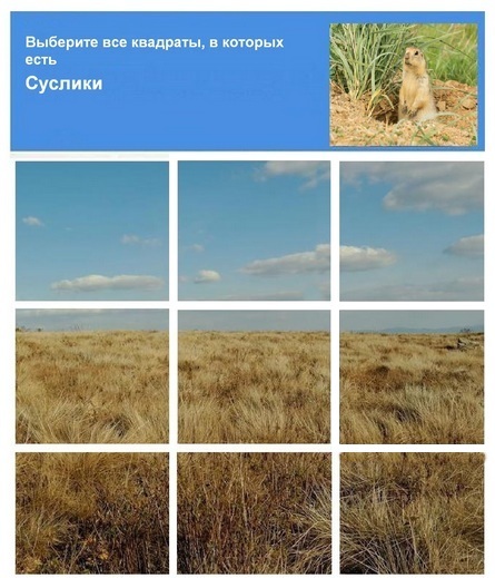 1515259210149058799