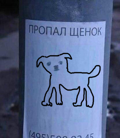 1515404849166744871
