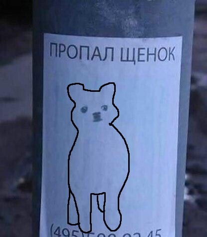 1515412204176537497
