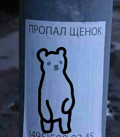 1515412280171742772