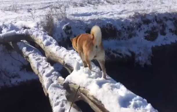 Это фиаско братан