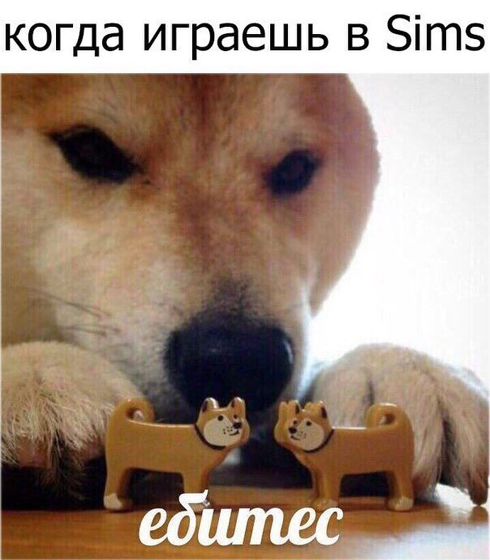 Мем Ебитес Мем Ебитес