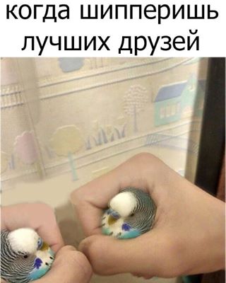 Мем Ебитес Мем Ебитес