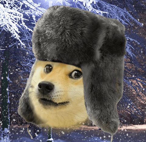 DOGE