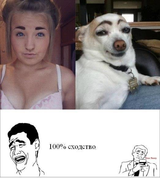 GcLWQDWRRFQ