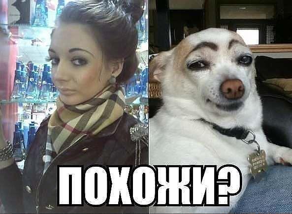 Pohozhi_ZAGRUZE.RU