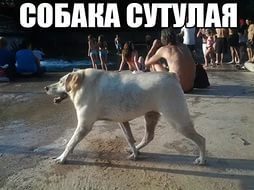 eb3e4ad70eb145af6d01c219bf36d22a