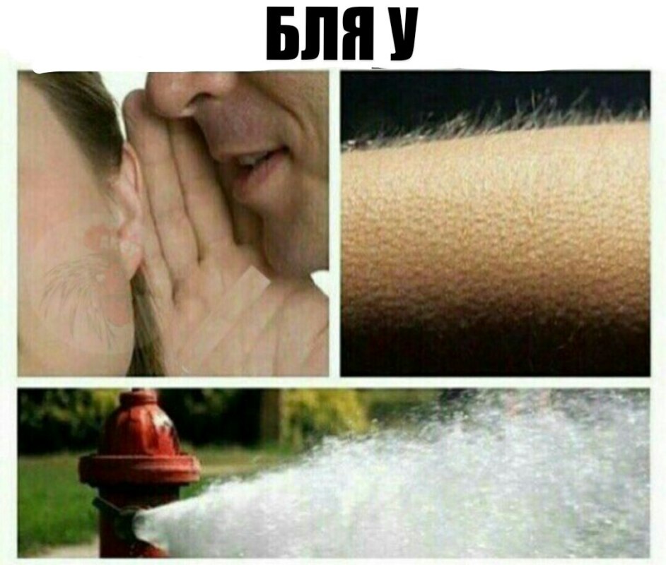 fu-J-egkaO0