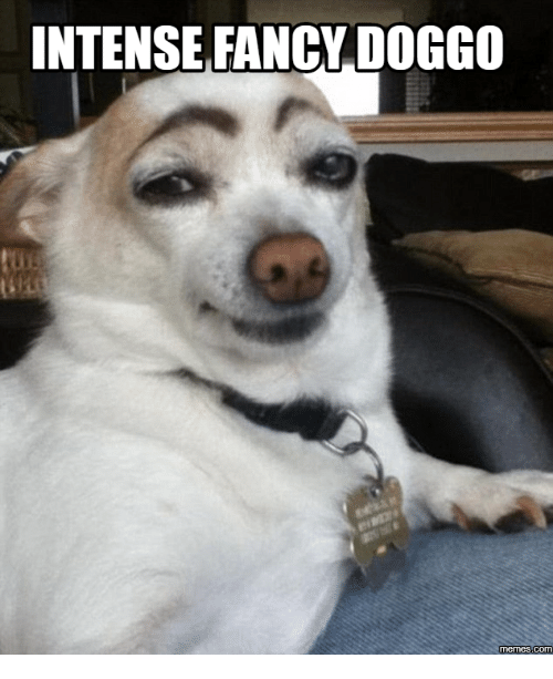 intense-fancy-doggo-memes-com-13509566
