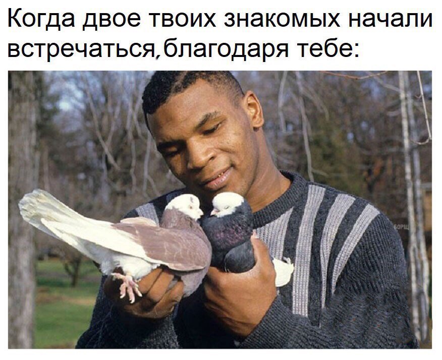 Мем Ебитес Мем Ебитес