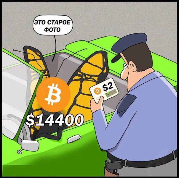 qzIxoL81VUs