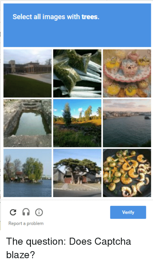 select-all-images-with-trees-report-a-problem-verify-the-2633976