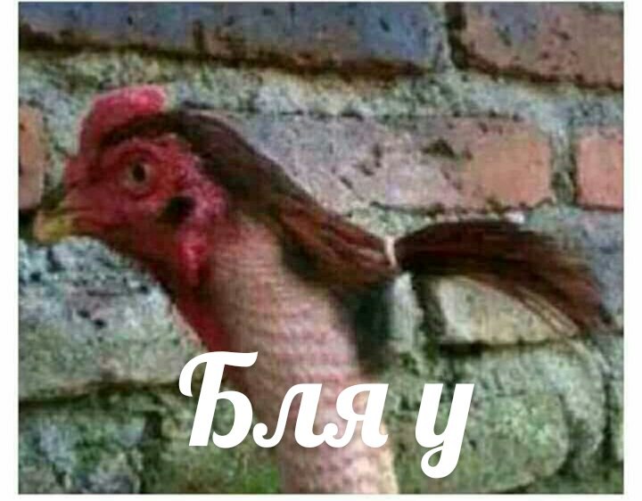 te4_ONZLWm0
