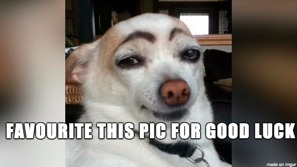 vSJtFyL