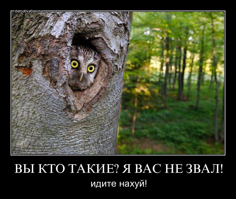 вы кто такие я вас не звал вы кто такие я вас не звал