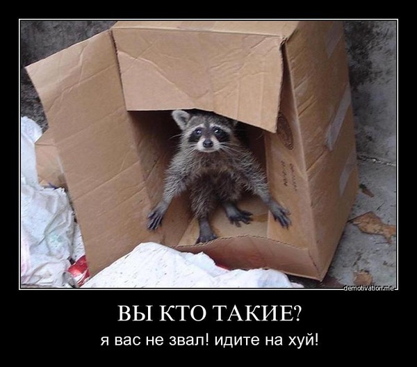 вы кто такие я вас не звал (7)