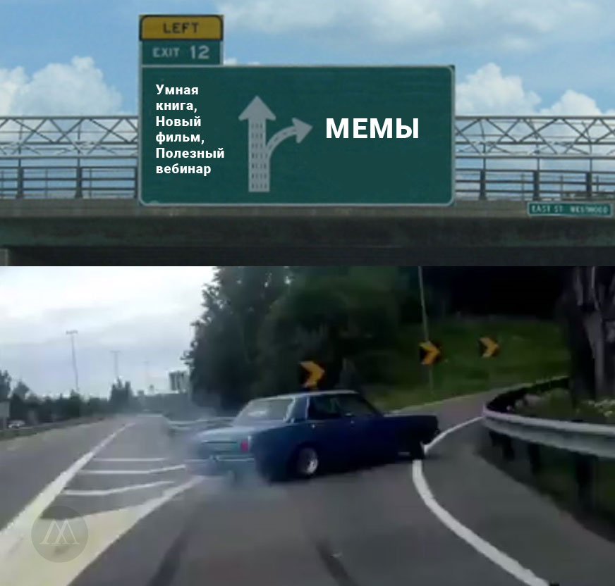 мемы