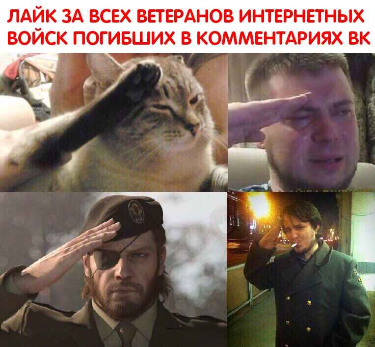 все отдают честь