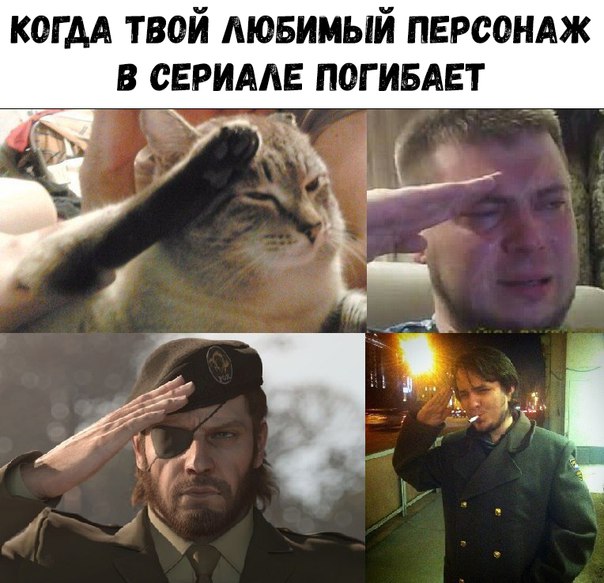 все отдают честь