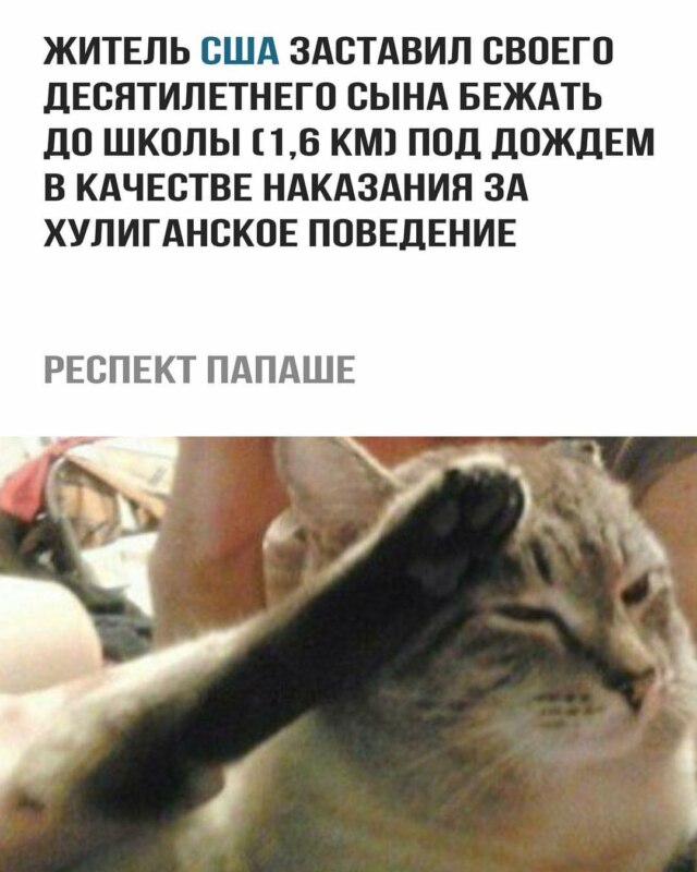все отдают честь