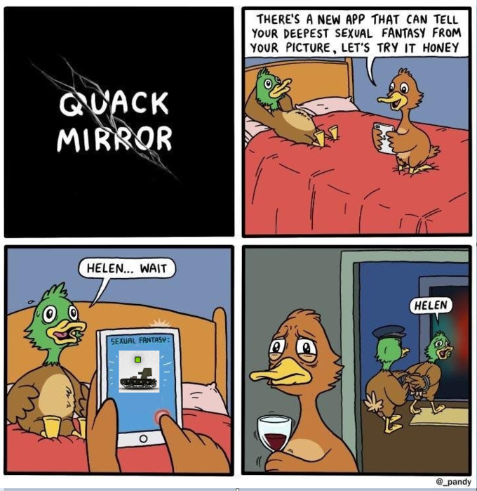 Quack Mirror утки мем