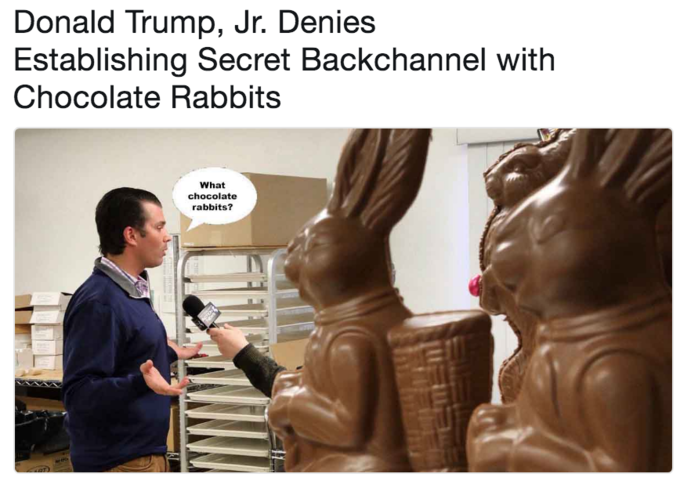 дональд трамп младший и зайцы