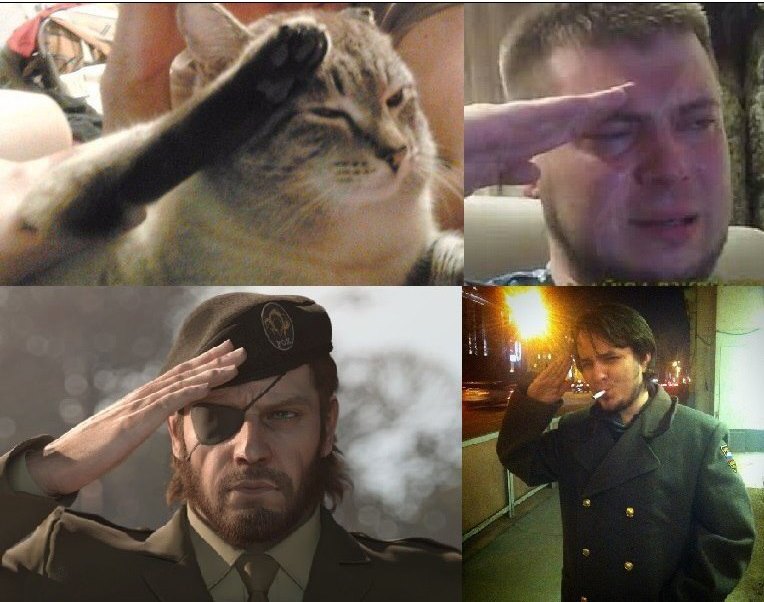все отдают честь