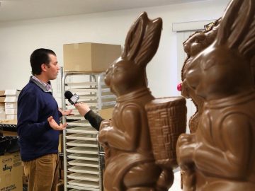дональд трамп младший и зайцы